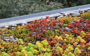 the cost of Hogley Green green roof installation