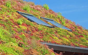 Hogley Green living roof systems